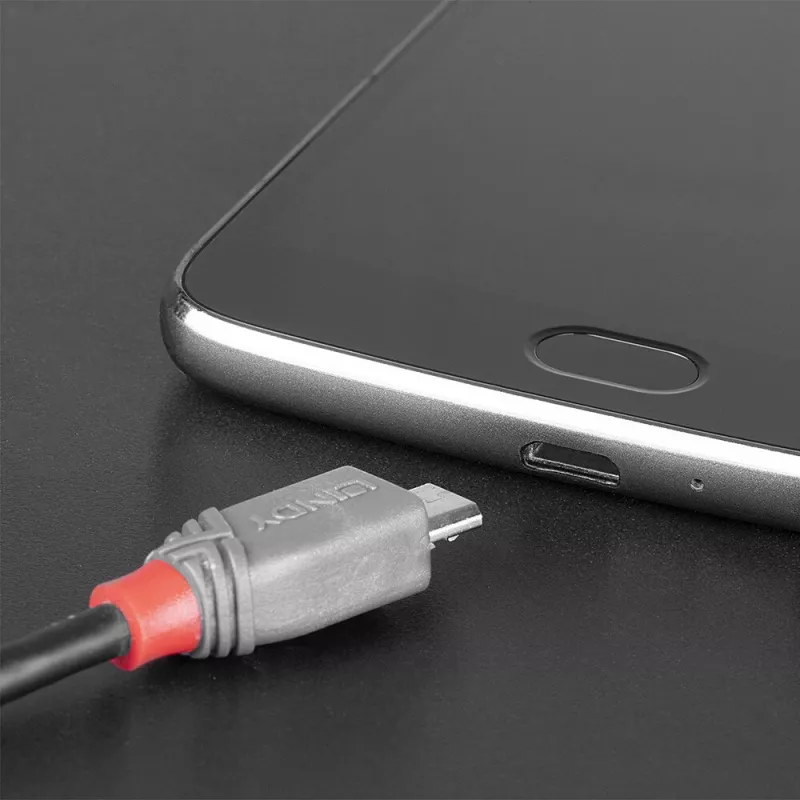 Lindy cable USB 2.0 Type-C a Micro-B de 2 m, Anthra Line