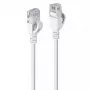 Cable de red ultradelgado Lindy 2m Cat.6A U/UTP, Gris