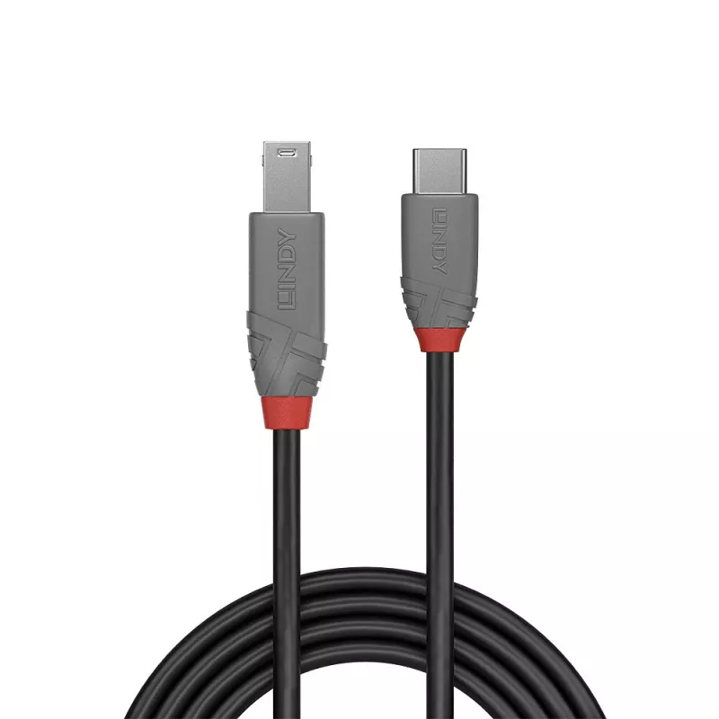 Lindy cable USB 3.2 Type-C a B 0,5 m 5 Gbit/s negro