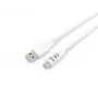 Cable USB 3.2 Gen 1 Type-C a A Equip, M/M, 2 m