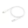 Cable USB 3.2 Gen 1 Type-C a A Equip, M/M, 2 m