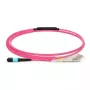 Lanview LVO230501-MTP Cable de fibra óptica InfiniBand 1 m Violeta