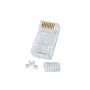 Conector macho RJ-45 sin apantallar Lindy, 8 pines CAT6, pack de 10