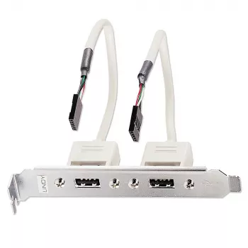 Placa trasera USB Lindy 2 puertos USB 2.0 para PC