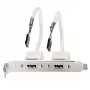 Placa trasera USB Lindy 2 puertos USB 2.0 para PC