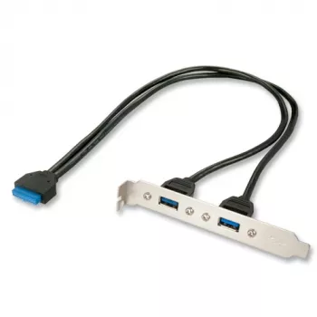 Cable USB interno Lindy 33096