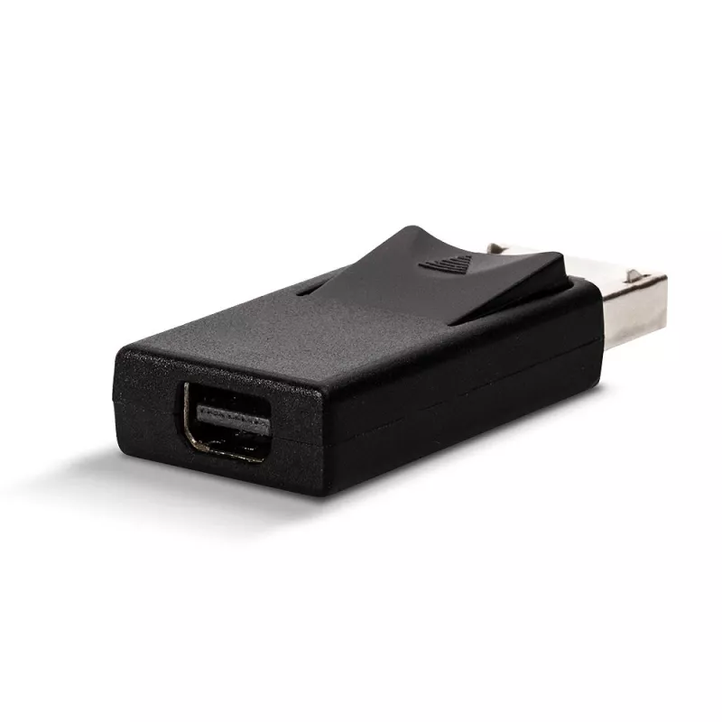 Adaptador DisplayPort a Mini DisplayPort Lindy 41089