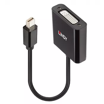 Convertidor activo Lindy Mini DisplayPort a DVI 0,16 m negro