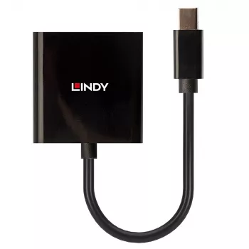 Convertidor activo Lindy Mini DisplayPort a DVI 0,16 m negro