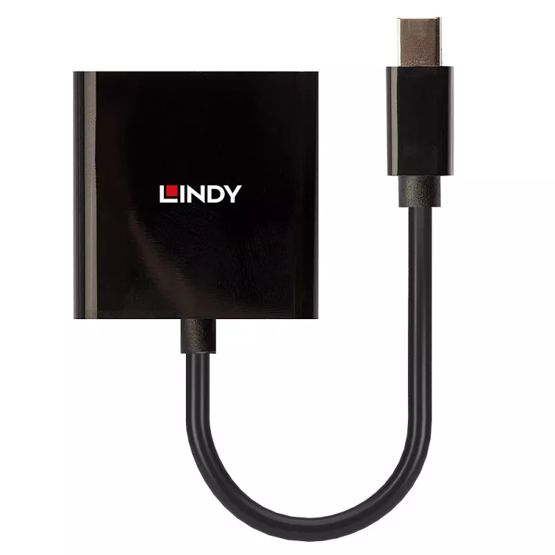 Convertidor activo Lindy Mini DisplayPort a DVI 0,16 m negro