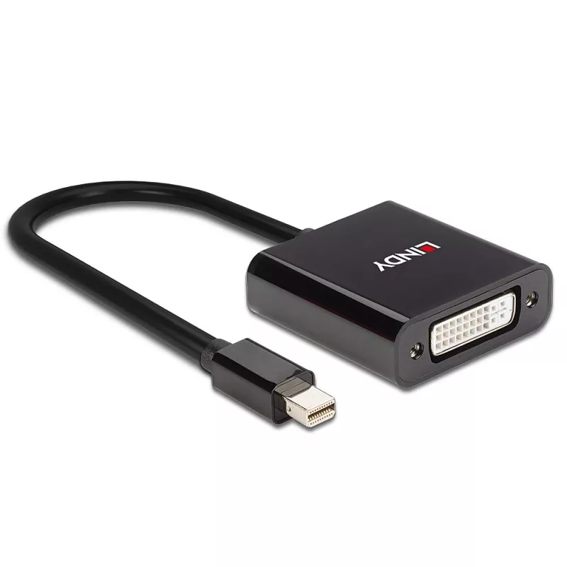 Convertidor activo Lindy Mini DisplayPort a DVI 0,16 m negro
