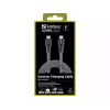 Cable USB-C Sandberg Survivor 2M 100W negro blanco