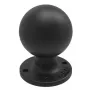 Placa AMPS redonda con bola RAM Mounts RAM-D-254U