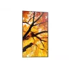 Sharp MultiSync M502 Pantalla plana de señalización digital 127 cm (50 pulgadas) LCD 550 cd/m² 4K Ultra HD Negro 24/7