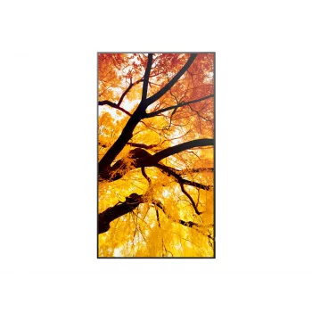 Sharp MultiSync PN-M982 Pantalla plana interactiva 2,48 m (97,5 pulgadas) LED 550 cd/m² 4K Ultra HD Negro 24/7