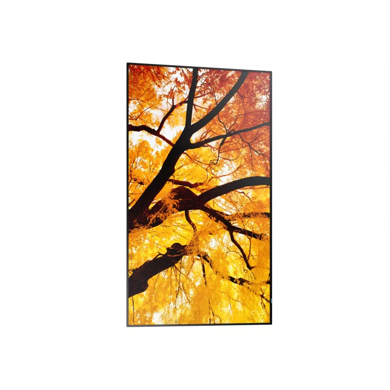 Sharp MultiSync PN-M982 Pantalla plana interactiva 2,48 m (97,5 pulgadas) LED 550 cd/m² 4K Ultra HD Negro 24/7