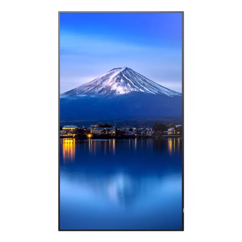 Sharp MultiSync PN-P556 pantalla de gran formato de la serie P de 55 pulgadas (139,7 cm), 4K UHD, 700 cd/m², D-LED, 24/7, ranura SDM