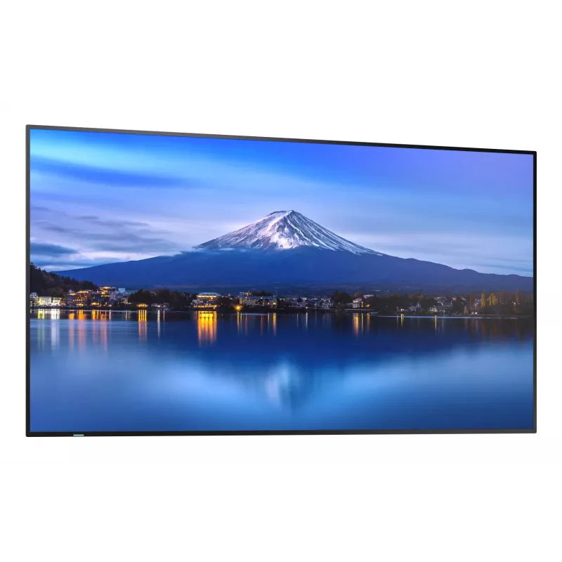 Sharp MultiSync PN-P556 pantalla de gran formato de la serie P de 55 pulgadas (139,7 cm), 4K UHD, 700 cd/m², D-LED, 24/7, ranura SDM