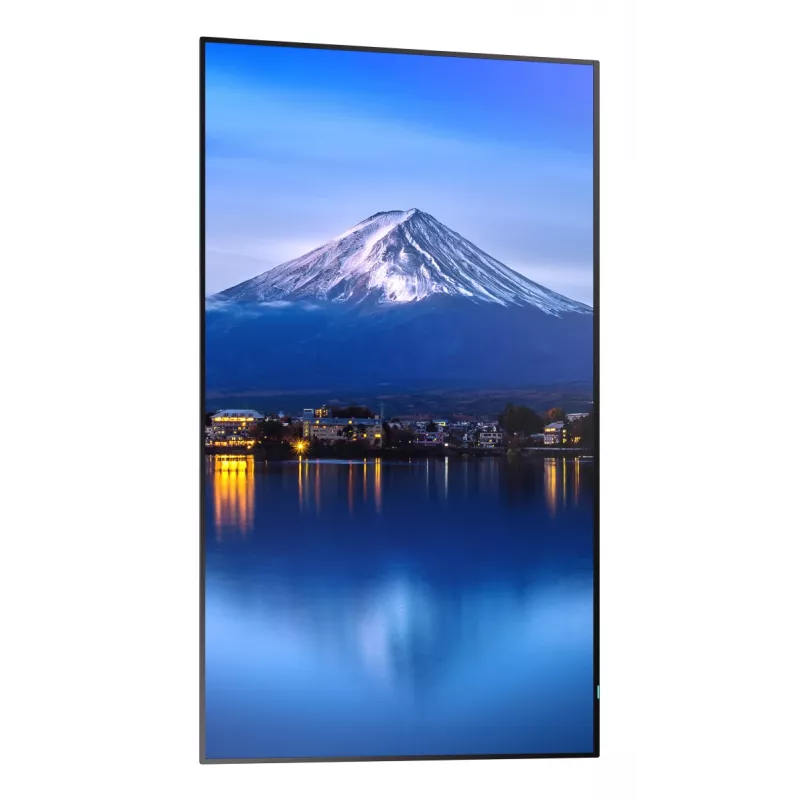 Sharp MultiSync PN-P556 pantalla de gran formato de la serie P de 55 pulgadas (139,7 cm), 4K UHD, 700 cd/m², D-LED, 24/7, ranura SDM