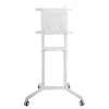 Soporte de pared/pie para TV Vivolink VLFS3770 177,8 cm (70