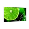 Pantalla plana de señalización digital NEC MultiSync E758 189,2 cm (74,5