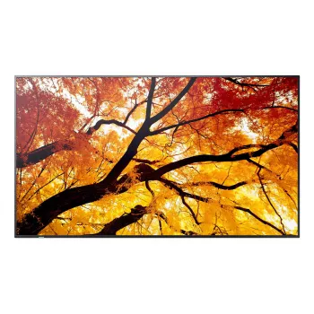 Pantalla plana de señalización digital NEC MultiSync M862 — 86