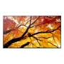 Pantalla plana de señalización digital NEC MultiSync M862 — 86