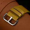 Correa para reloj native union (Re)Classic Strap para Apple Watch compatible 38/40/41 mm ancho 31 mm profundidad 6 mm largo 205 mm 1 unidad