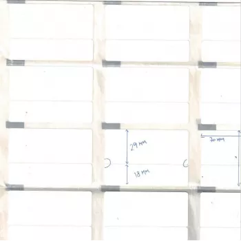 Capture 35000771 Etiquetas para impresora de etiquetas Blanco