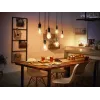 Philips Hue A60 – lámpara inteligente E27, lámpara inteligente, Bluetooth/Zigbee, blanco, LED, E27, A60