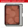 Displex TABLET PRIVACY SAFE filtro de privacidad de 2 vías extraíble para iPad Pro 13