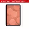 Protector de pantalla Displex (9H) para Apple iPad mini 8,3'' (6.ª gen./7.ª gen. 2024), marco de montaje Eco, resistente a arañazos