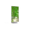 Sharp MultiSync EA272Q monitor de ordenador 68,6 cm (27 pulgadas) 2560 x 1440 píxeles 4K Ultra HD LCD blanco