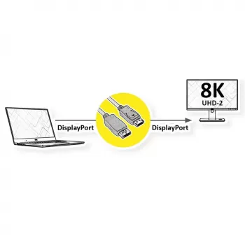 Cable DisplayPort ROLINE 11046002 2 m negro