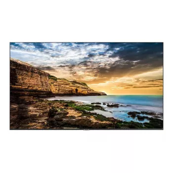 Monitor Samsung QE50T 50 pulgadas LED 4K Ultra HD Pantalla