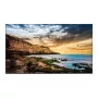 Monitor Samsung QE50T 50 pulgadas LED 4K Ultra HD Pantalla