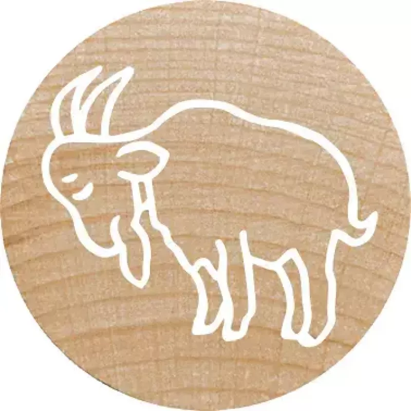 Sello redondo Colop 165225 goma madera 3 cm de diámetro