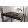 Equip ventiladores de refrigeración 19', 1U, 4 ventiladores, RAL9005 negro