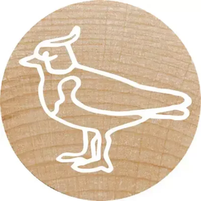 Sello Colop 165224 redondo goma madera 3 cm