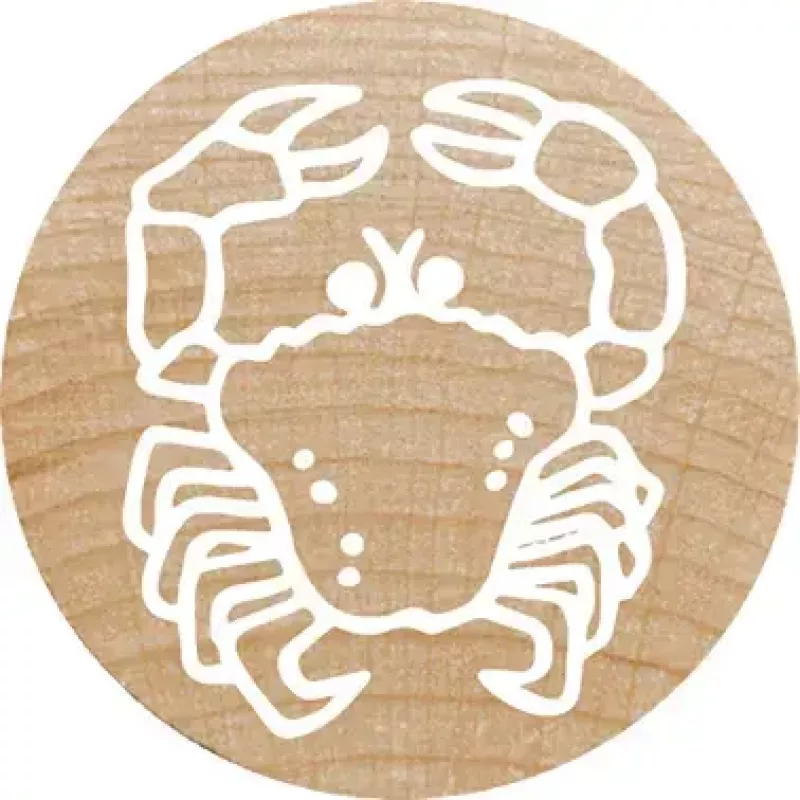 Sello Colop 165224 redondo goma madera 3 cm