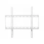 Techly ICA-PLB-162MW soporte de pared para TV 139,7 cm (55 pulgadas) blanco