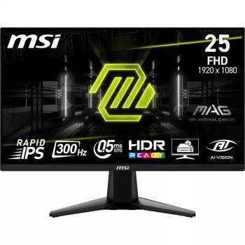 Monitor MSI MAG 255XF 62,2 cm (24,5
