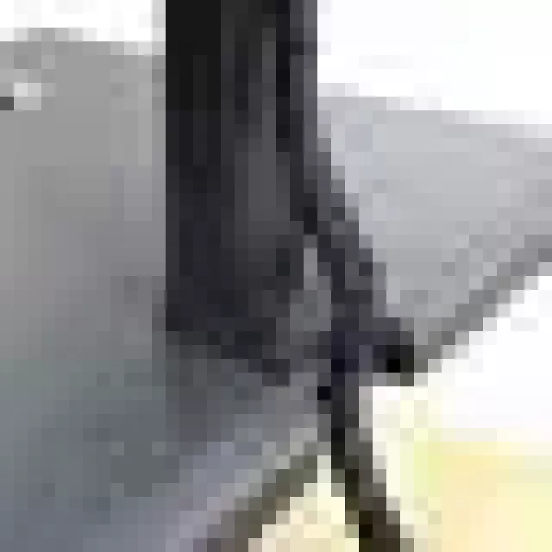 Soporte convertidor de escritorio ERGOTRON WorkFit-T negro — estructura de acero inoxidable, altura 380 mm, carga máxima 15,9 kg