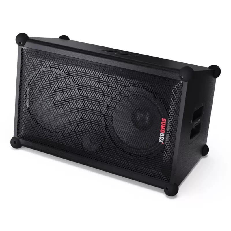 Altavoz portátil/fiesta Sharp CP-LS200 Negro 200 W