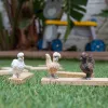 Figuras de juego Schleich FARM WORLD Hühnerfreunde Multicolor 42574