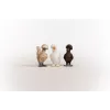 Figuras de juego Schleich FARM WORLD Hühnerfreunde Multicolor 42574