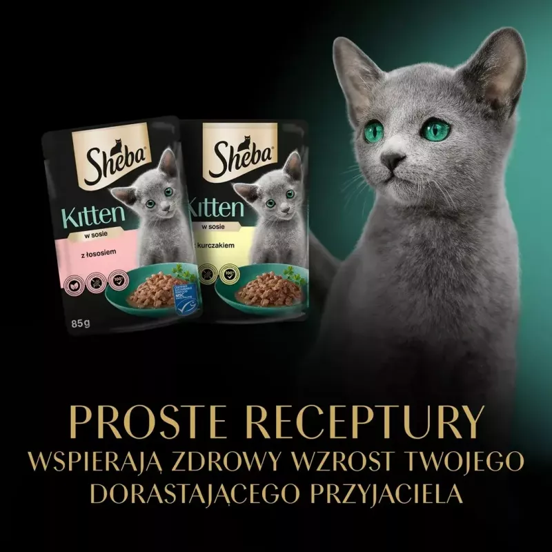 Sheba Kitten Selection of Flavors comida húmeda para gatos en salsa, 40 x 85 g