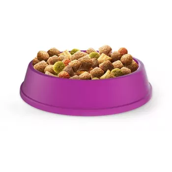 Pienso para gatos adultos Whiskas Adult pollo 14 kg — proteína 30 %, grasa 12 %, fibra bruta 2 %