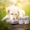 Comida húmeda para perros VETEXPERT RAW PALEO Adult monoproteína cerdo 800 g lata, sin cereales, sin gluten ni soja
