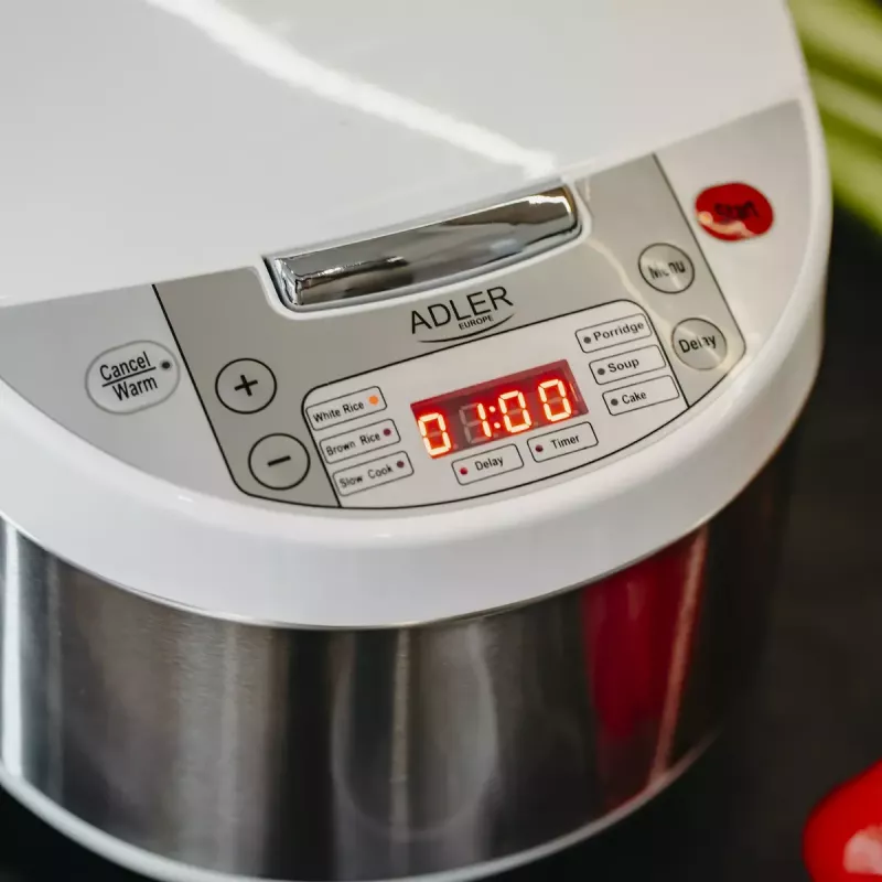 Olla multifunción Adler AD 6420 — 700 W, capacidad 3,25 L, 6 programas programables, indicador LED